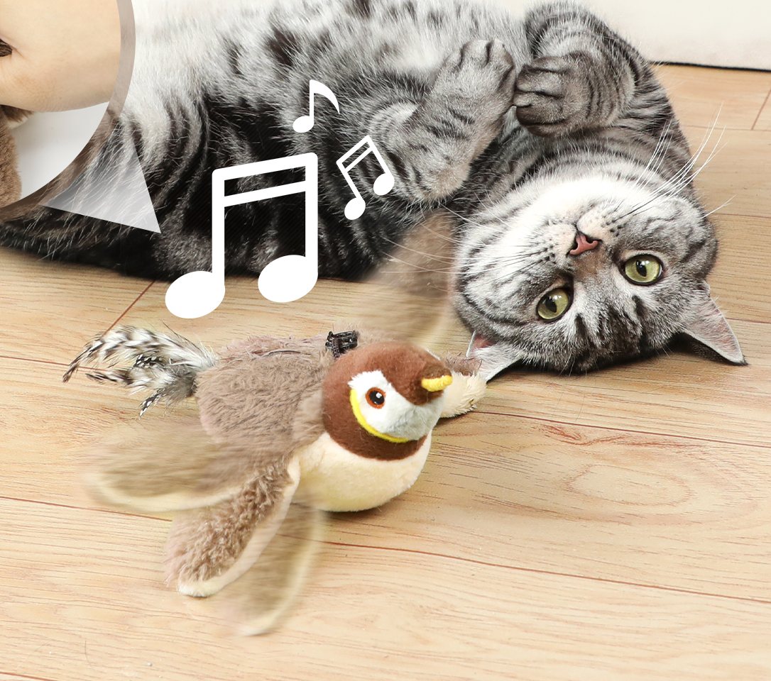 Chirpy flapping on the floor while a cat watches
